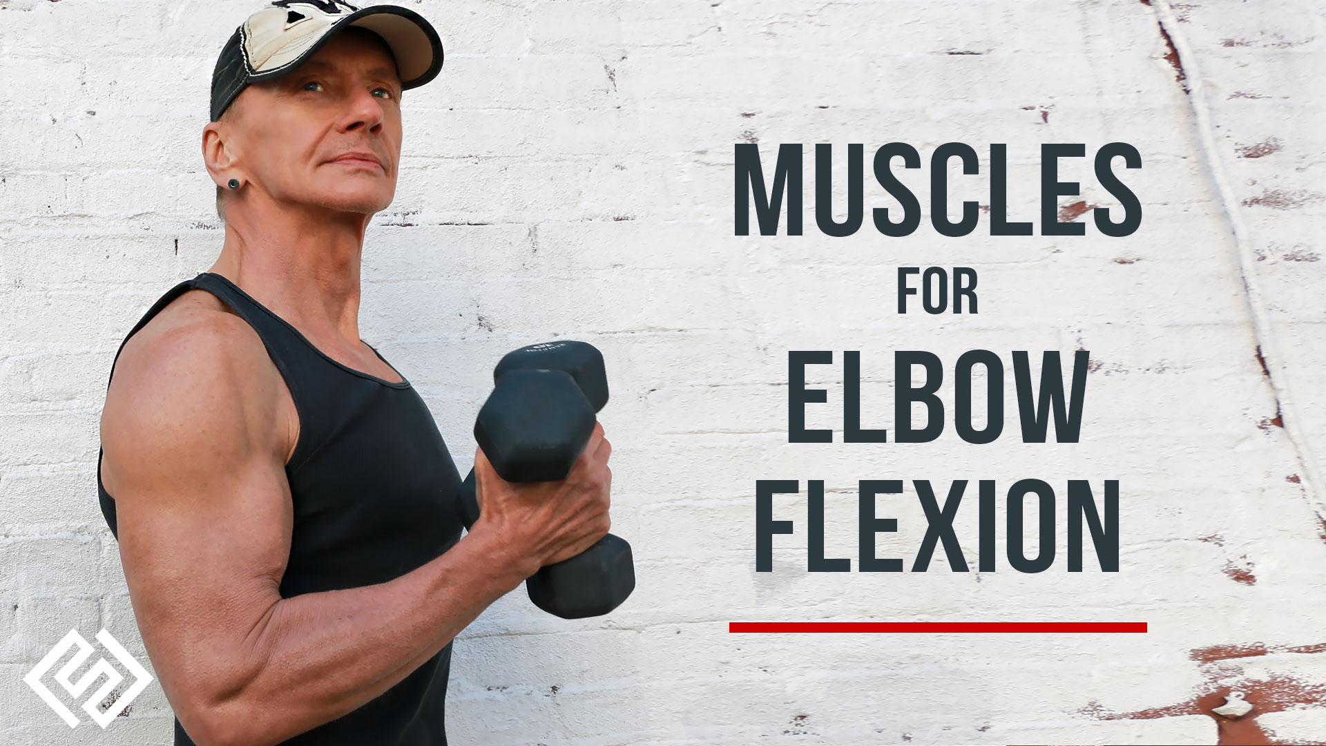 Elbow Flexion | Biceps, Brachialis & Brachioradialis