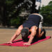 slinky dinky push-ups joschi