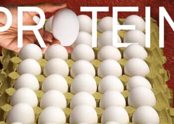 protein-hype-health-and-what-actually-matters