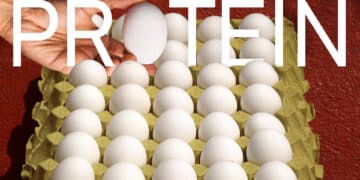 protein-hype-health-and-what-actually-matters