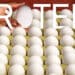 protein-hype-health-and-what-actually-matters