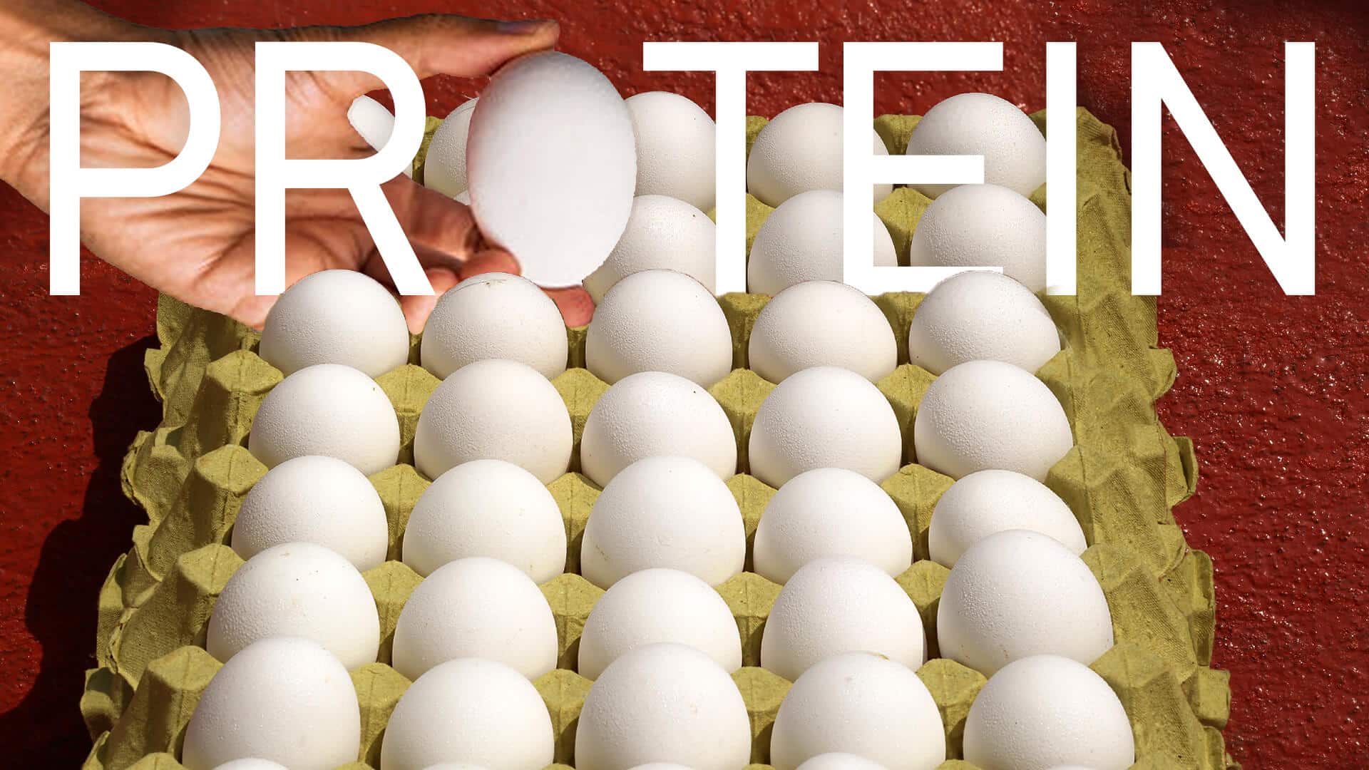 protein-hype-health-and-what-actually-matters