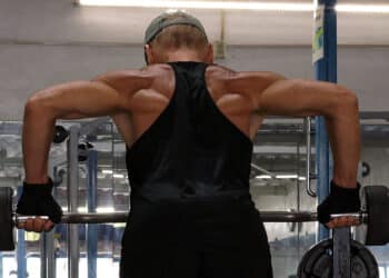 barbell-row-build-a-perfect-body